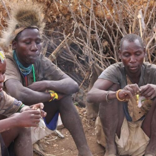 hadzabedatoga tribes 1024x576